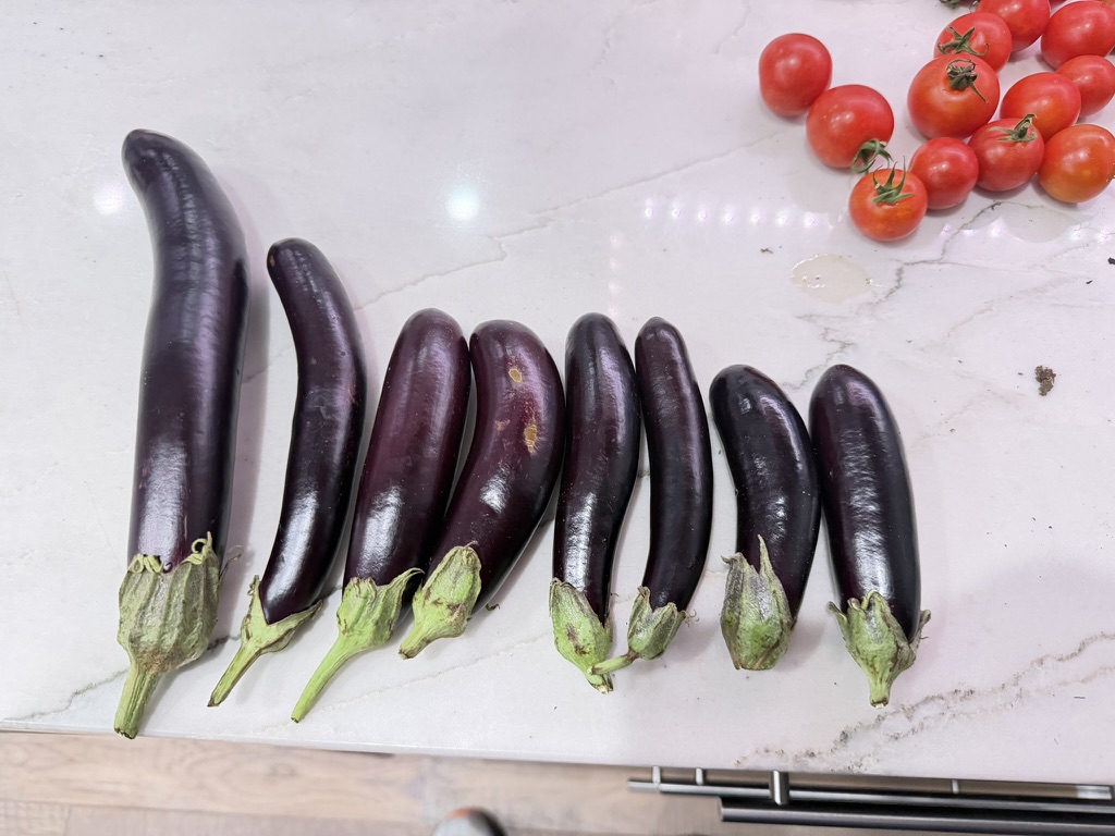 Fresh purple eggplants and tomatoes on a countertop