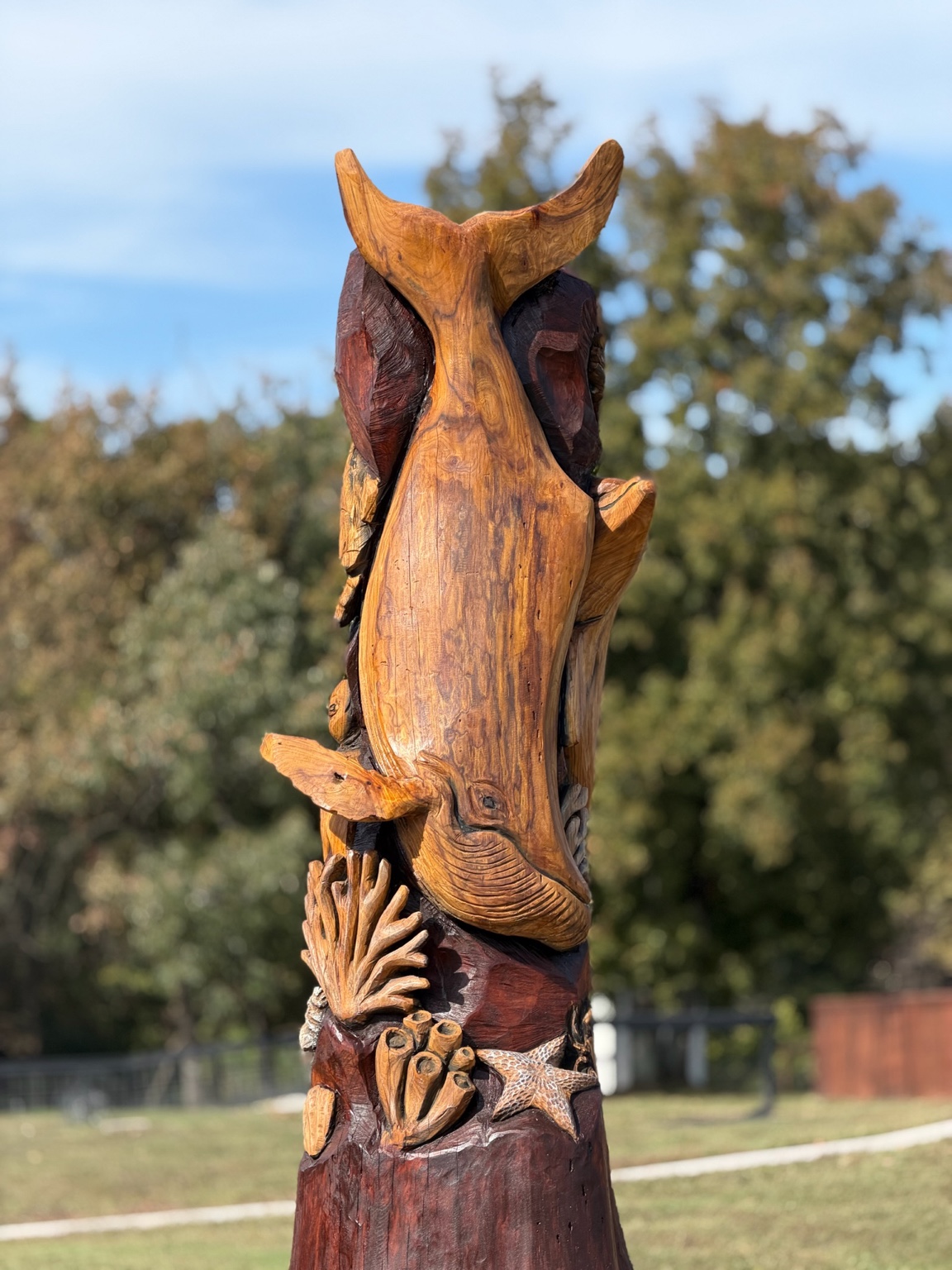 Whale and coral carved into our elm tree