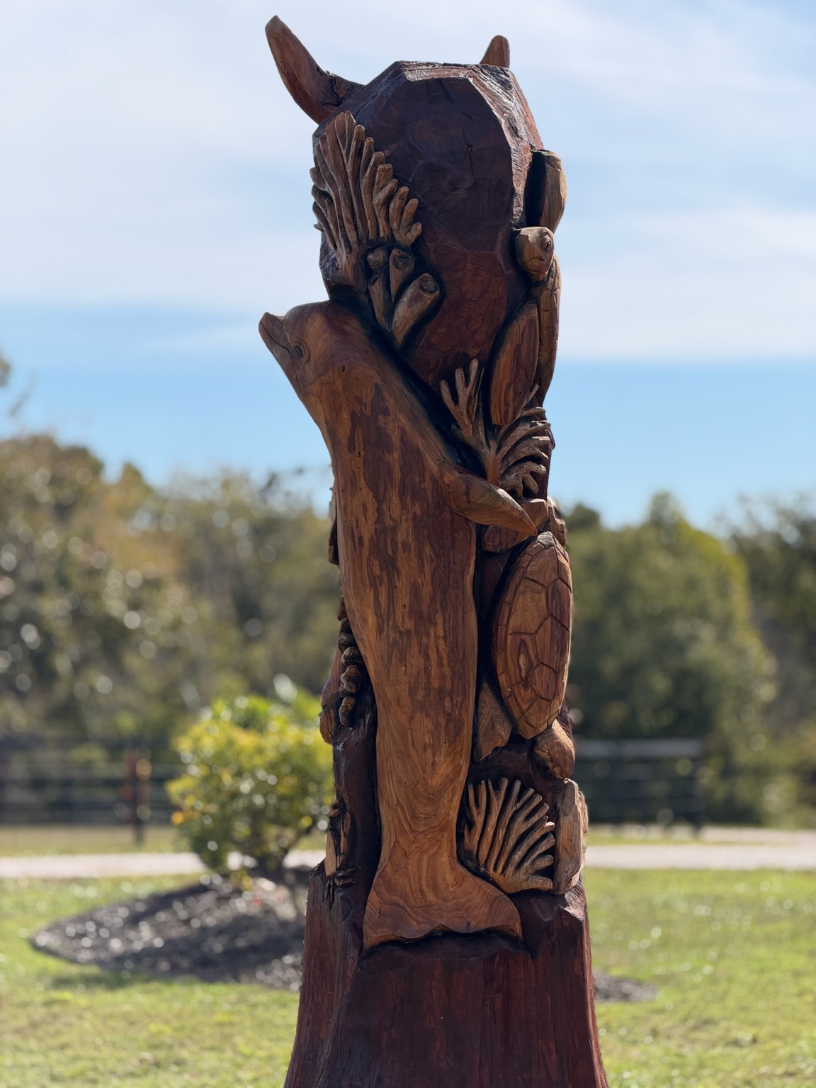 Dolphin and sea turtle in the ocean carving