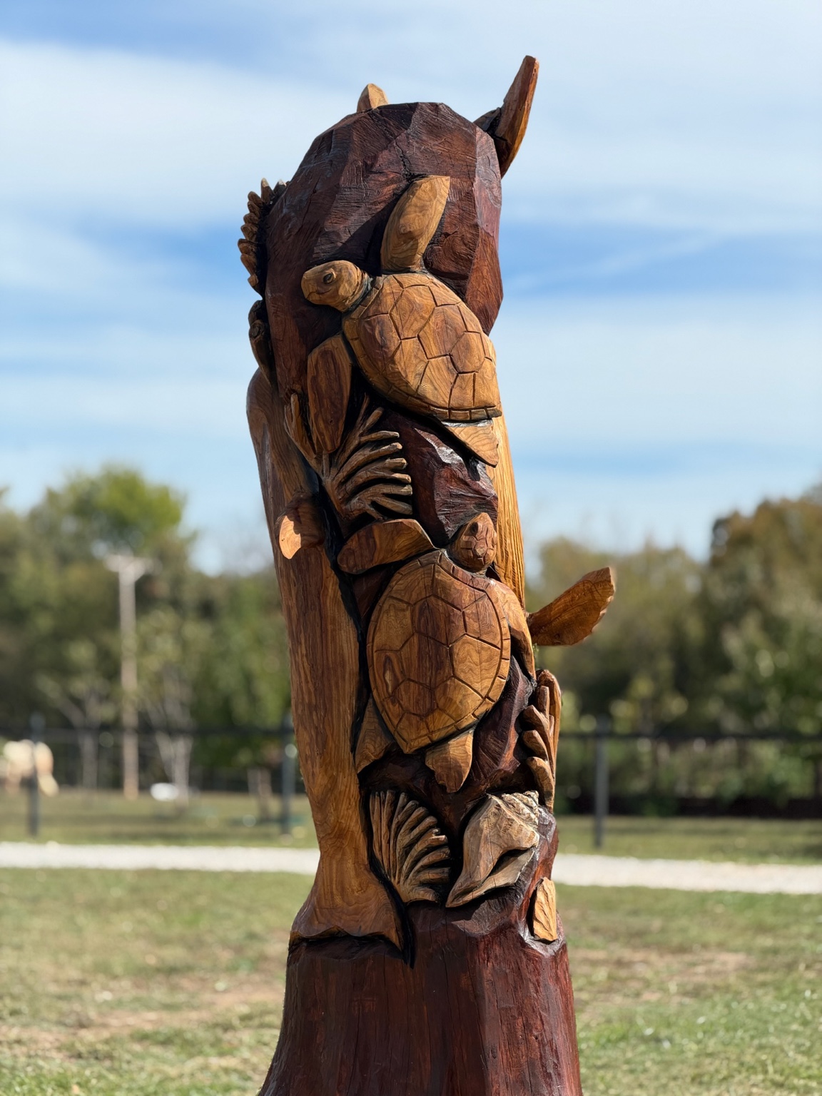 Sea turtles and coral in the elm carving