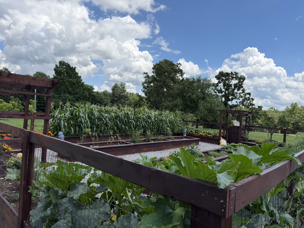 A summer day in the garden