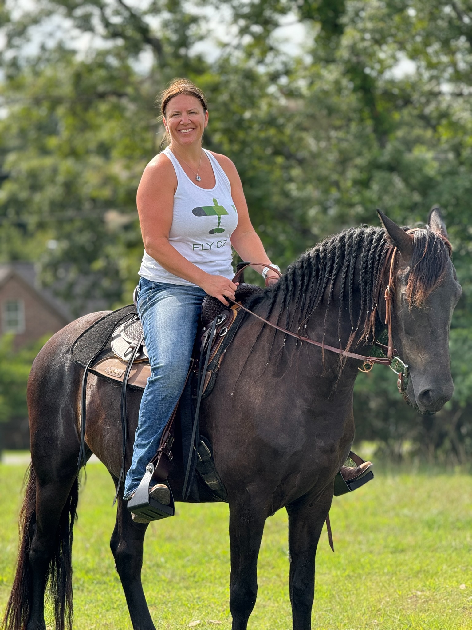Toro, the black Friesian, with a rider on the property